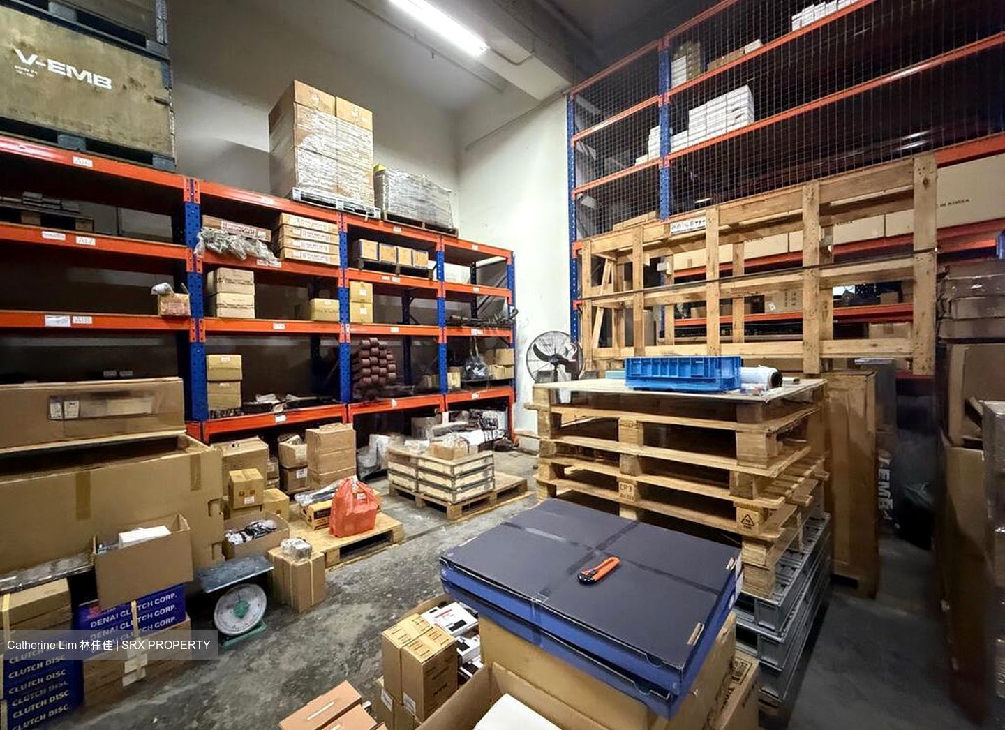 Focus One (D14), Factory #496205421